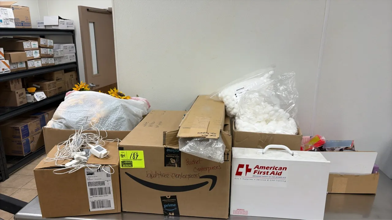Assorted package lot including event decor, birch tree centerpieces, artificial sunflowers, string lights with power adapters, a large bag of McKesson