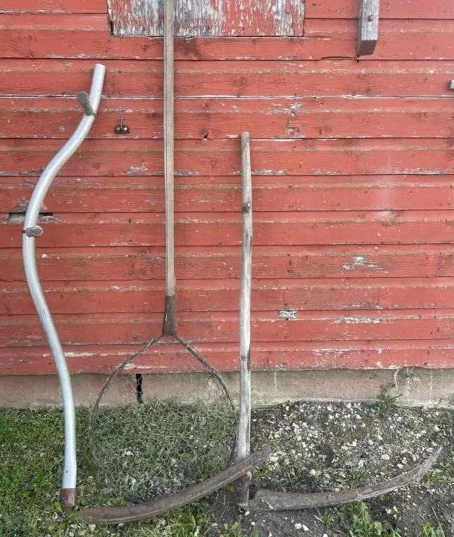 Two vintage scythes and a shop-built net.