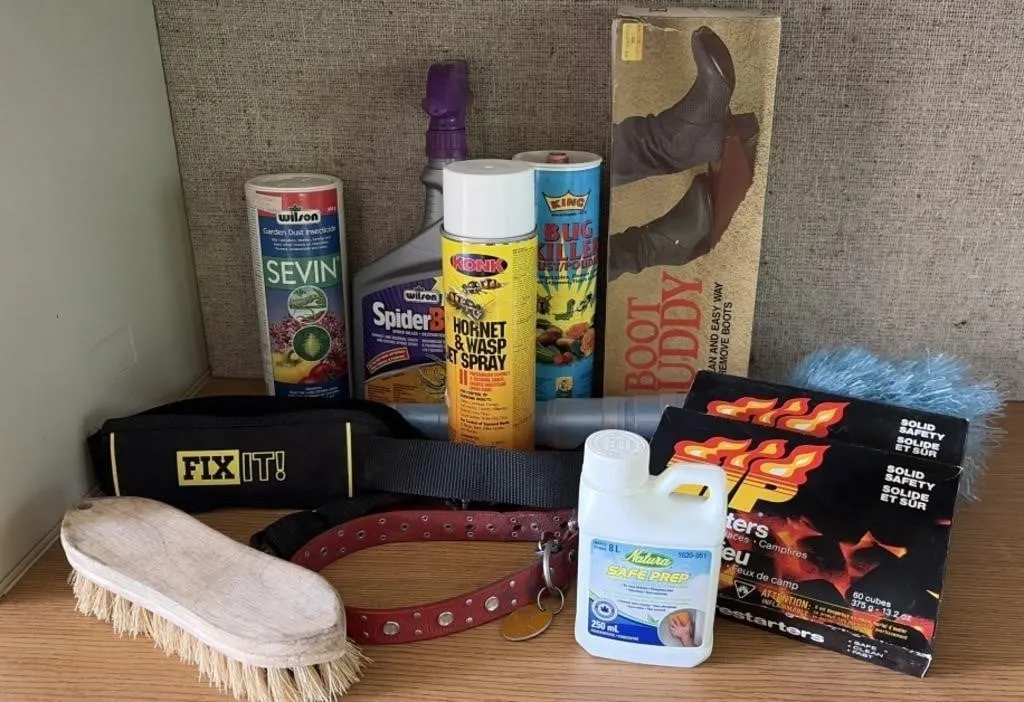 Hornet/Wasp Jet Spray, Bug Killer, Boot Buddy,
