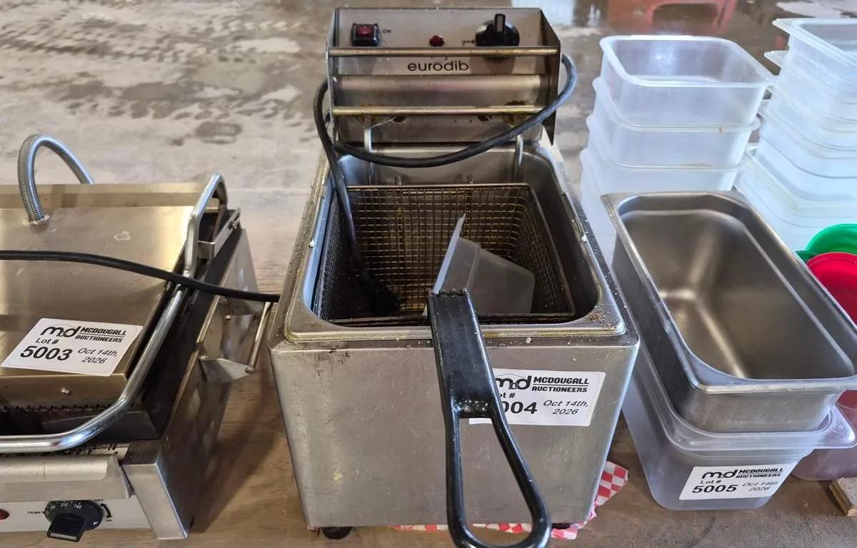 Eurodib Countertop Deep Fryer
UNRESERVED