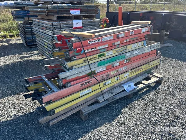 Quantity of (8) Ladder