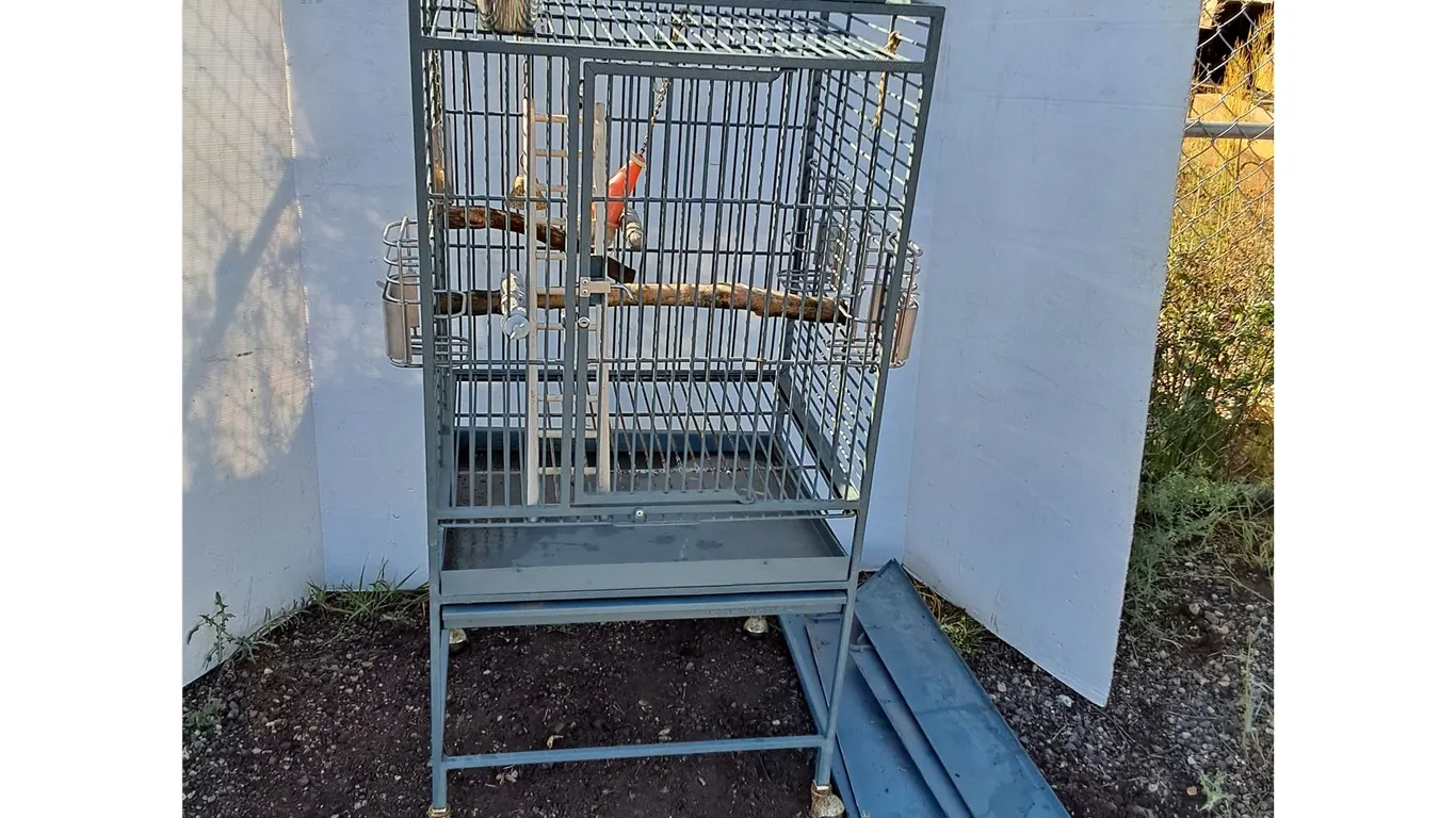**Metal Bird Cage 24" x 20" x 54", Can't Ship
