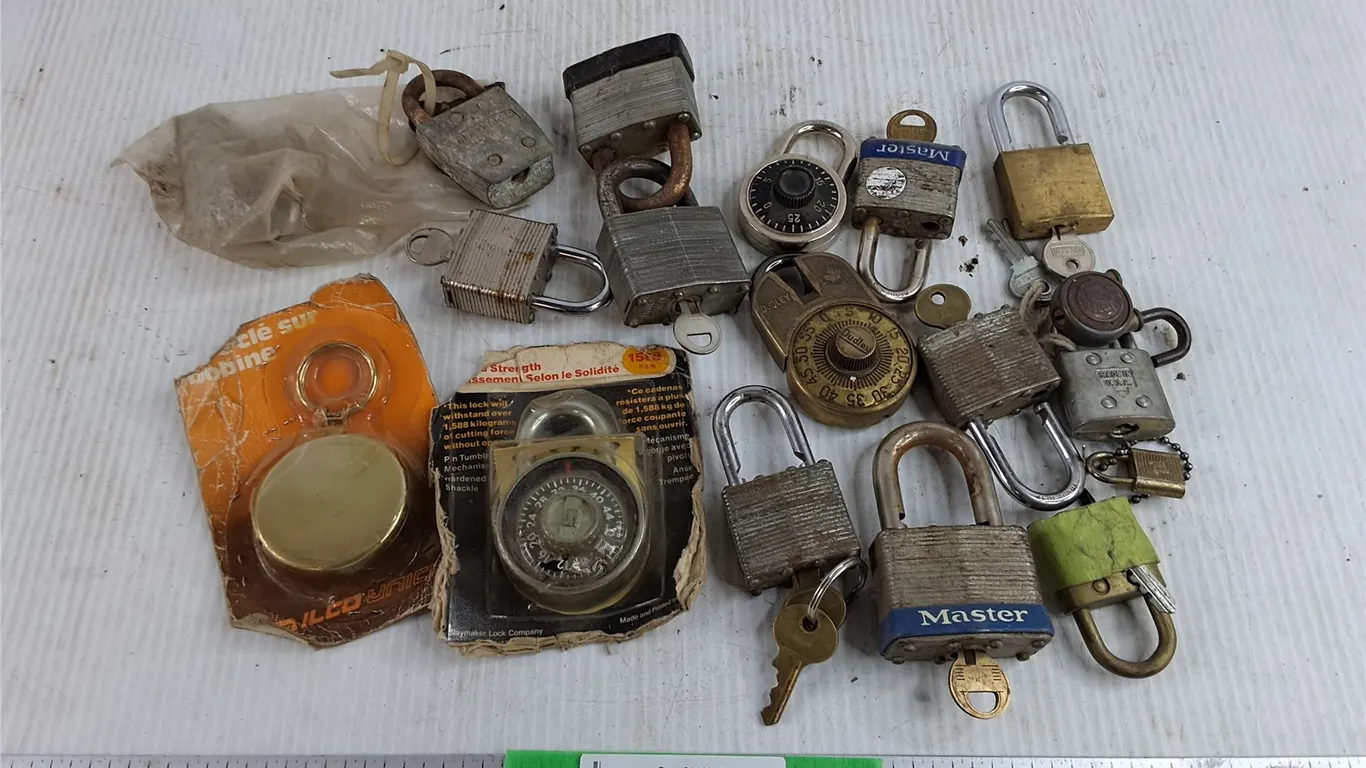 Assorted Locks