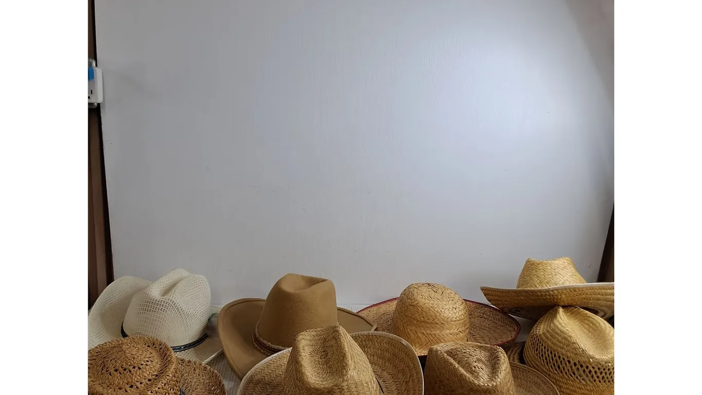 (8) Straw Hats