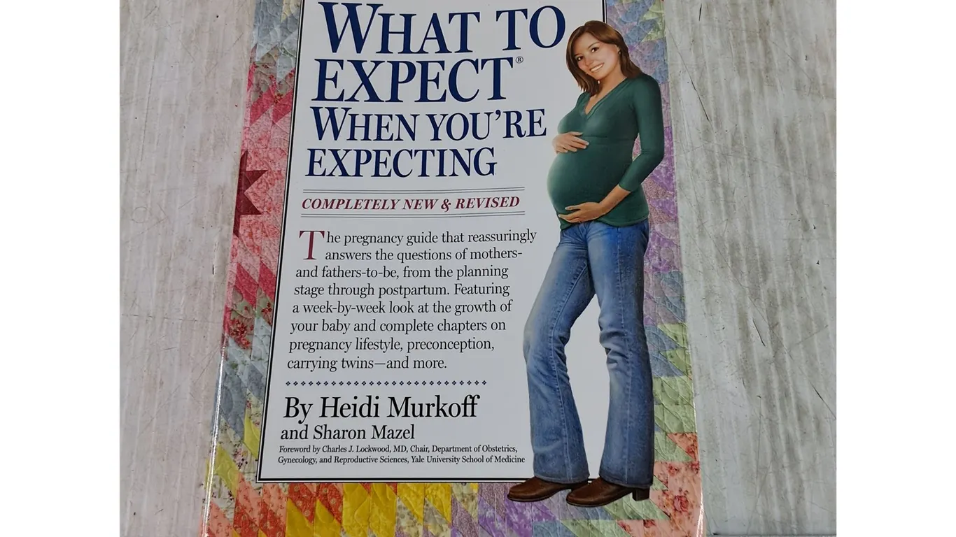What To Expect When You're Expecting Pregnancy Book