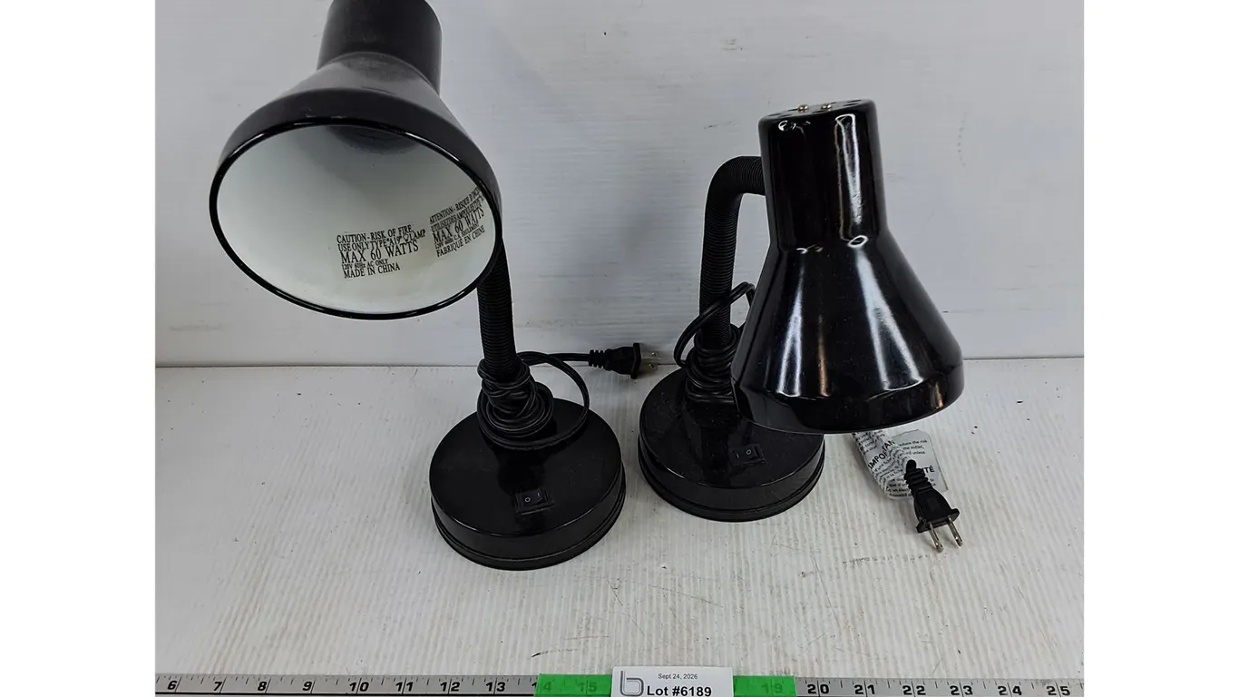 (2) Desk Lamps - Powers On, As Is
