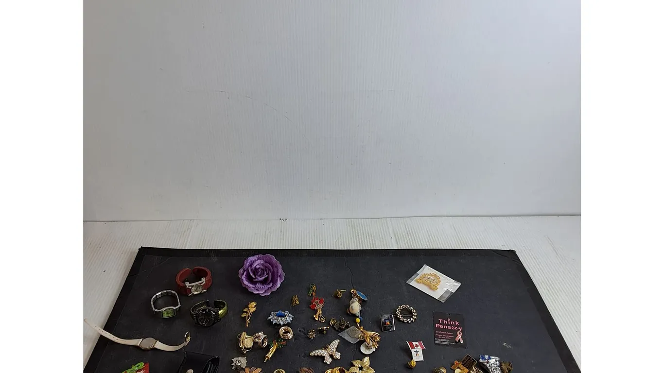 Various Pin & Watches