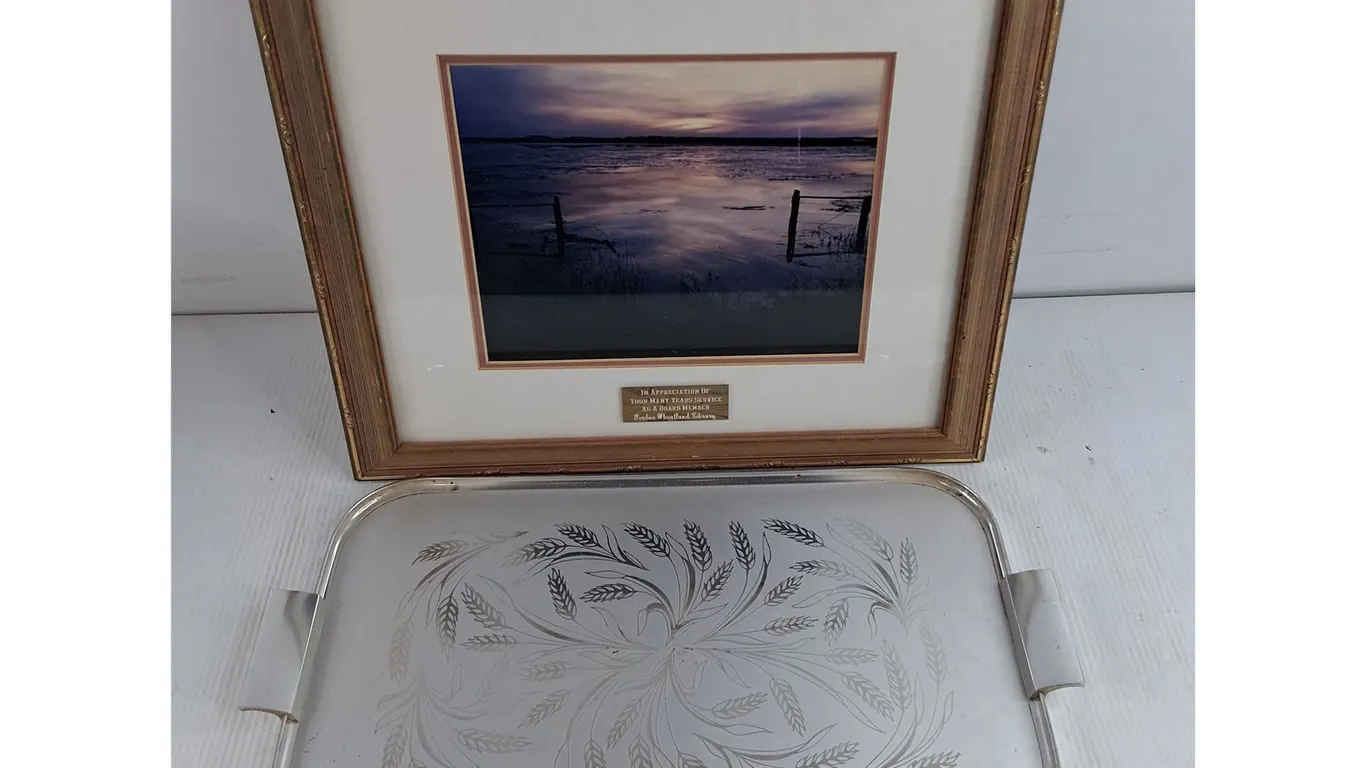 Framed Wall Art Print 18" x 16", Serving Tray 17" x 10"