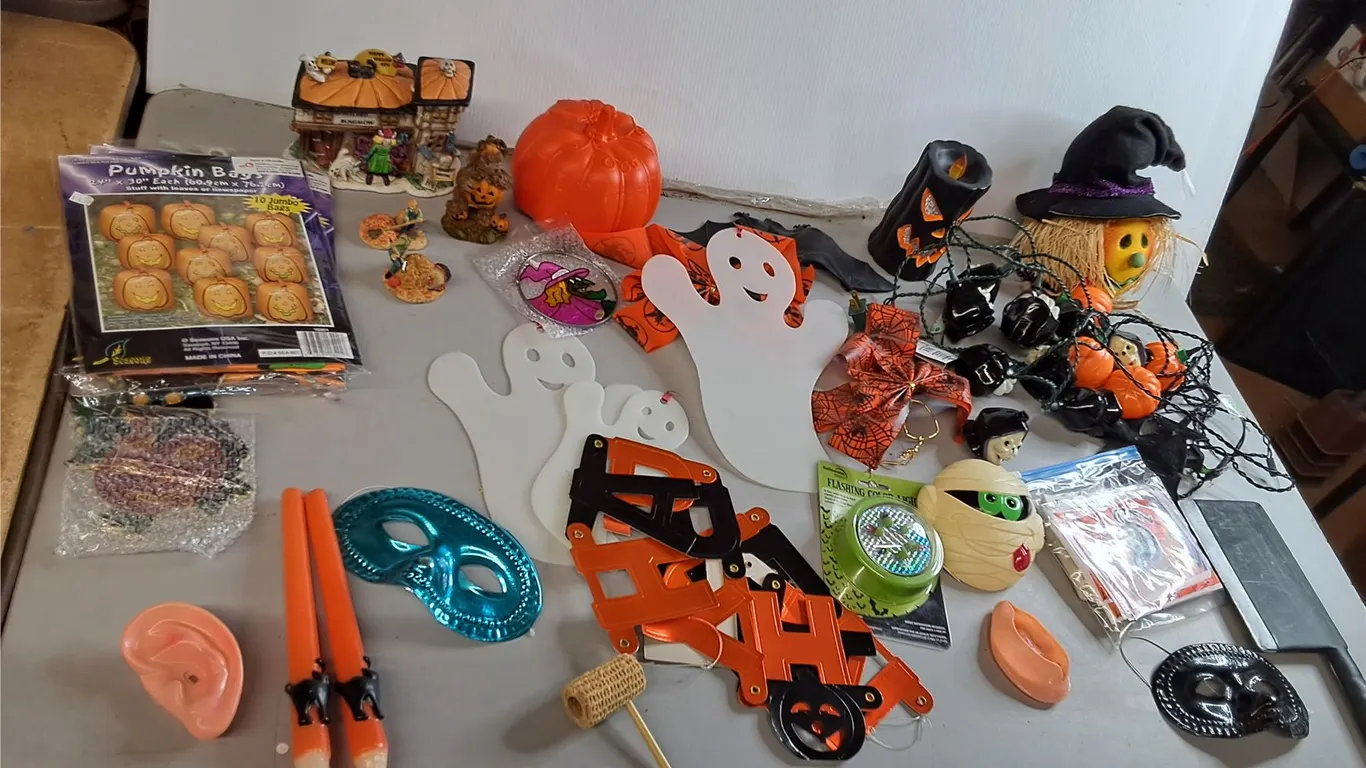 Halloween Decor- String Lights- Power On, Leaf Bags, Candy Dish, Misc.