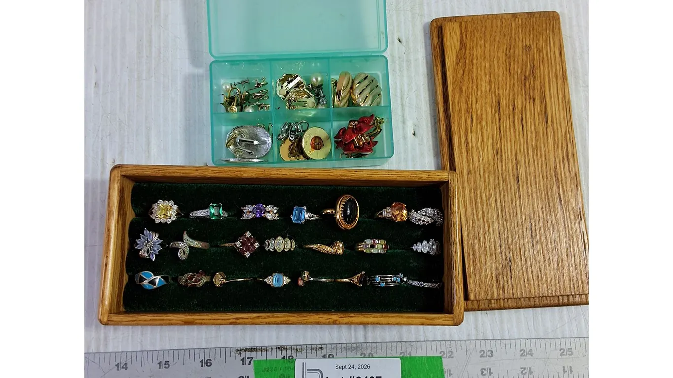 Assorted Rings & Clip-on Earrings