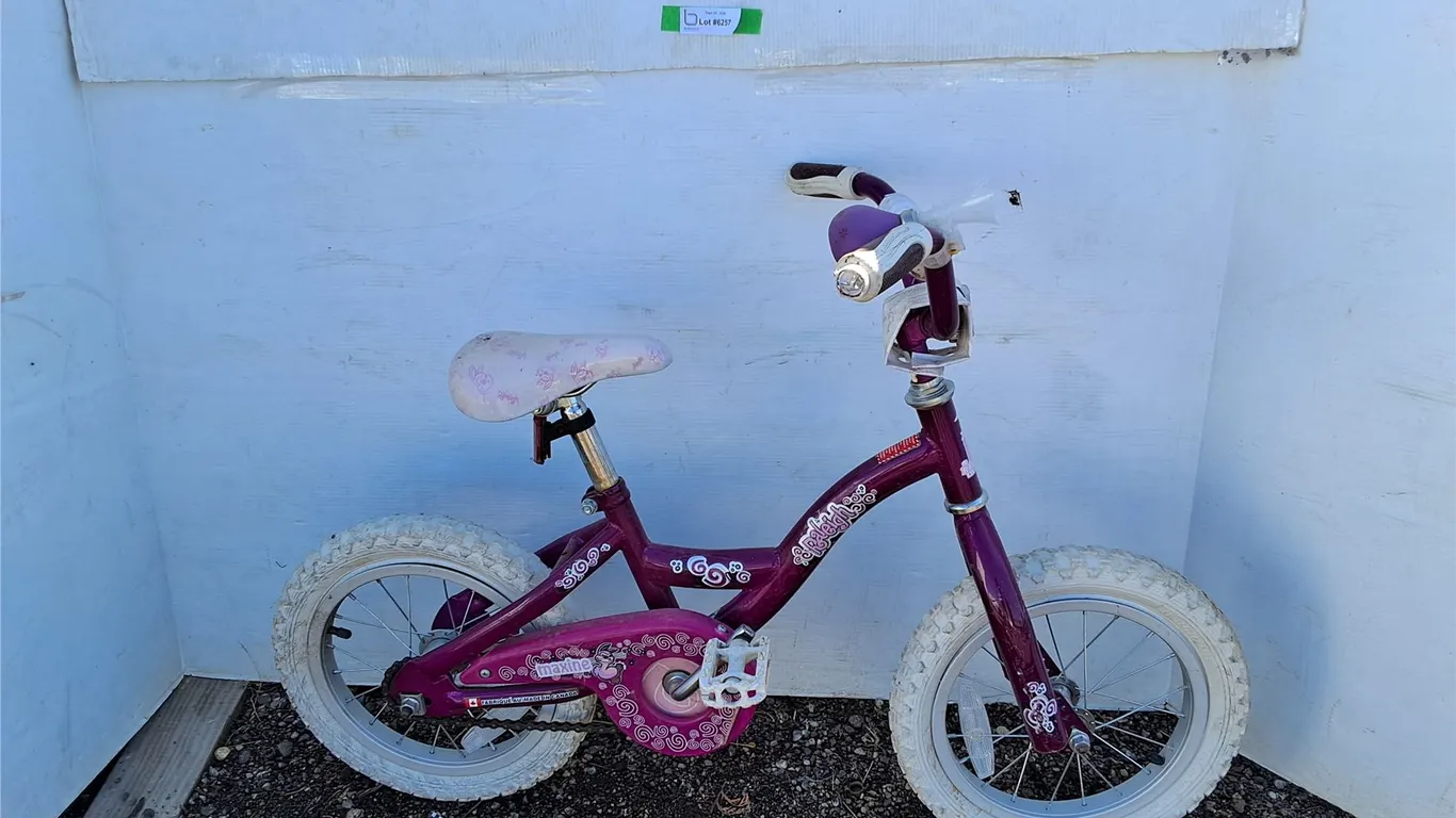 **Girl's Bike with 14" Tires-No Kickstand, Can't Ship