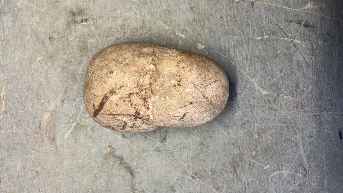 Collectible Rock