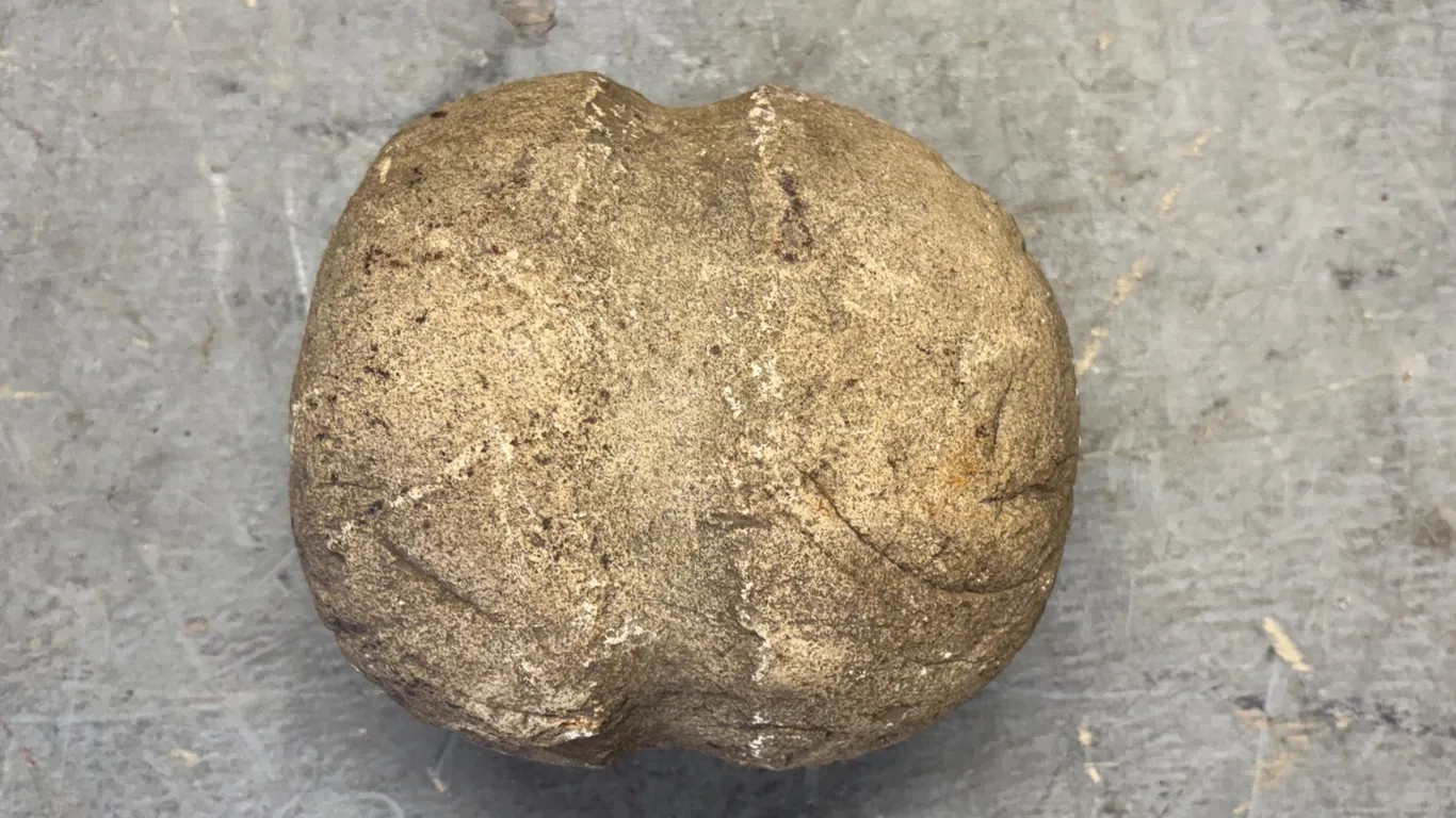 Collectible Rock
