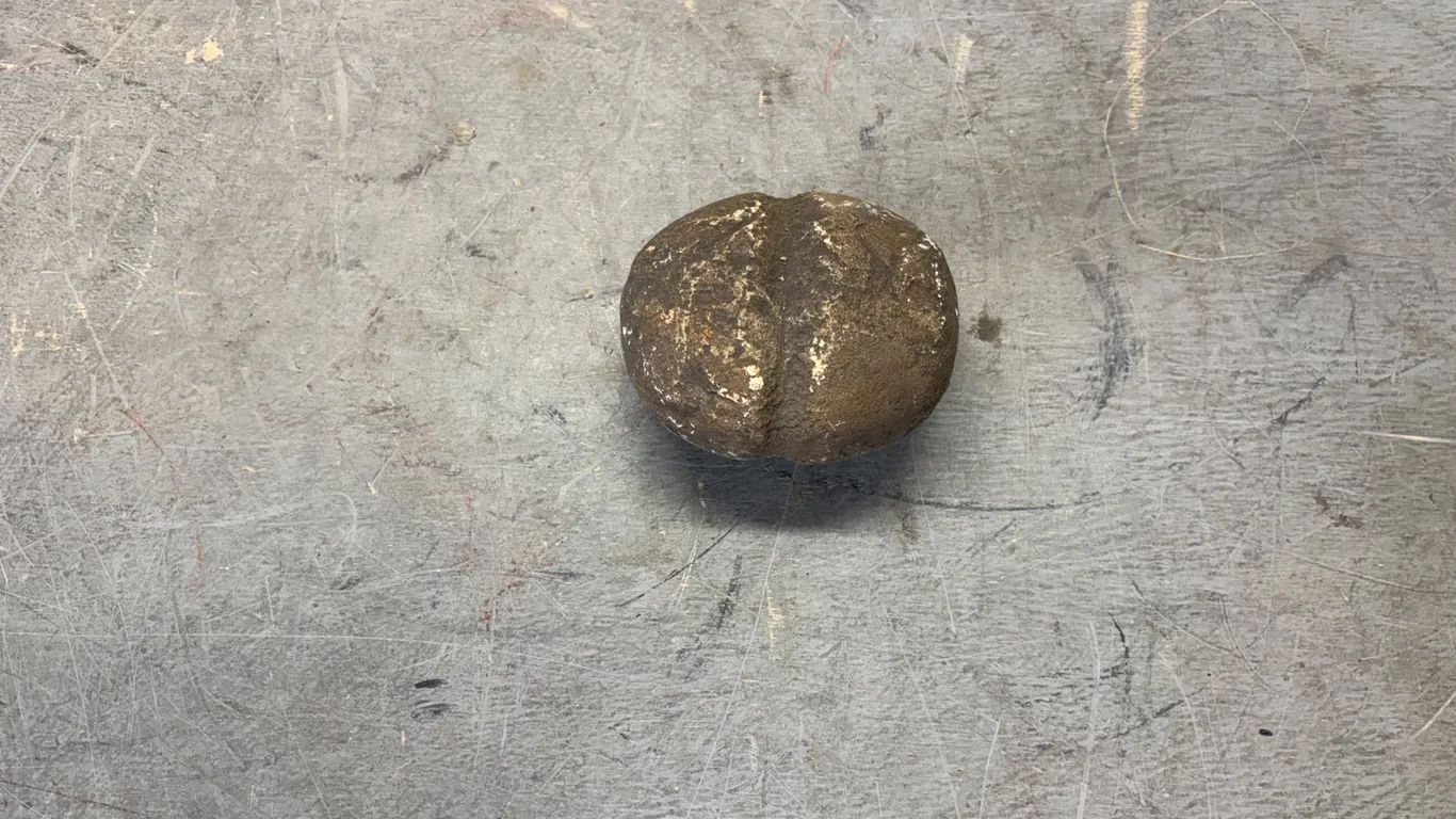 Collectible Rock
