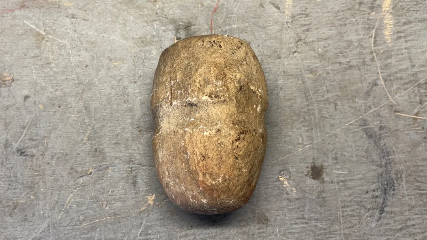 Collectible Rock