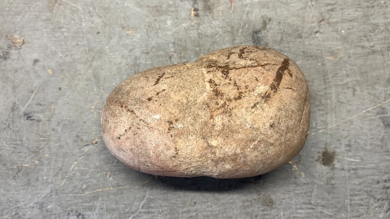 Collectible Rock