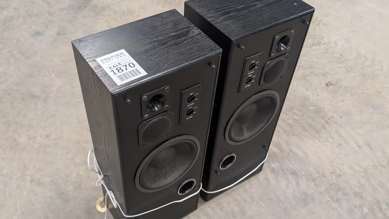 (2) Vivid Speakers