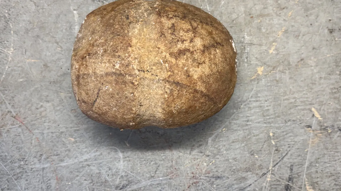 Collectible Rock