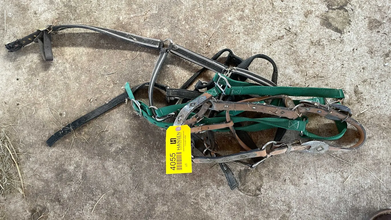 Horse Lot