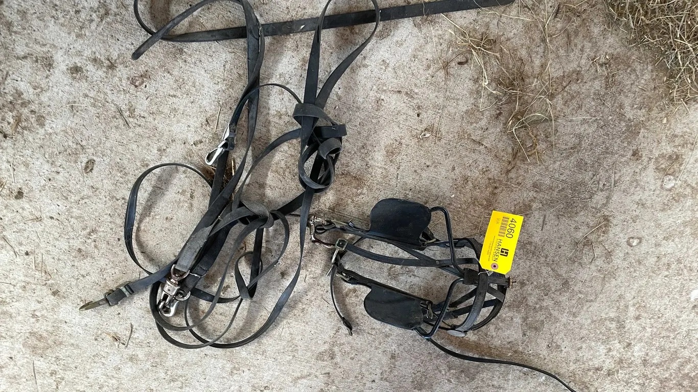 Horse Lot