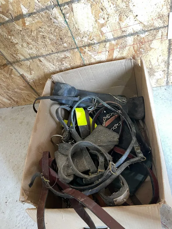 Assorted Leather Tacks