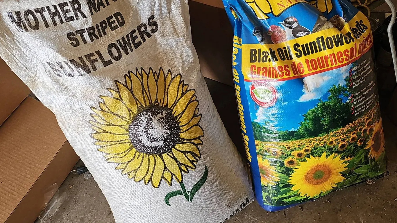 Mother Nature's Striped Sunflowers and Black Oil Sunflower Seeds Lot
