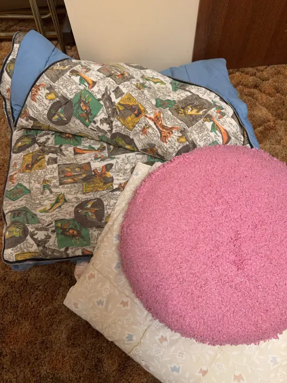 Two Pillows and Vintage Sleeping Bag with Outdoors Print