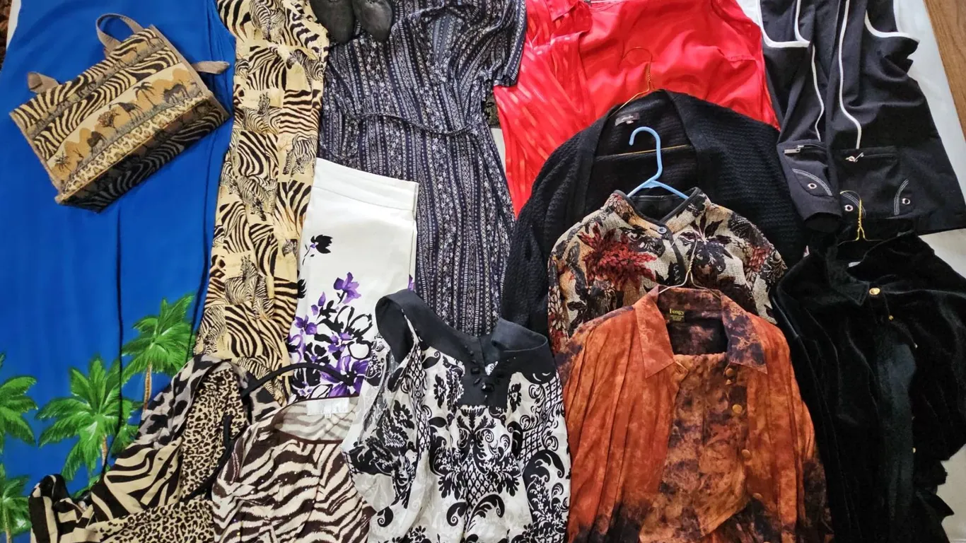Women's Clothing and Accessories Lot