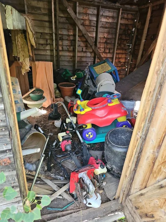 Mystery Shed Contents!