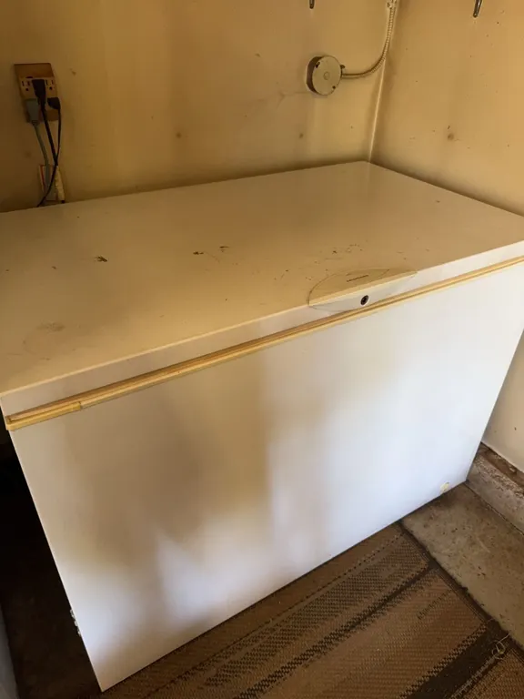 Frigidaire Gallery Chest Freezer with Interior Light