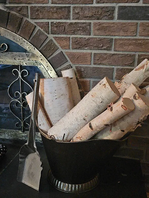 Metal Fireplace Log Holder With Birch Logs and Fireplace Tool