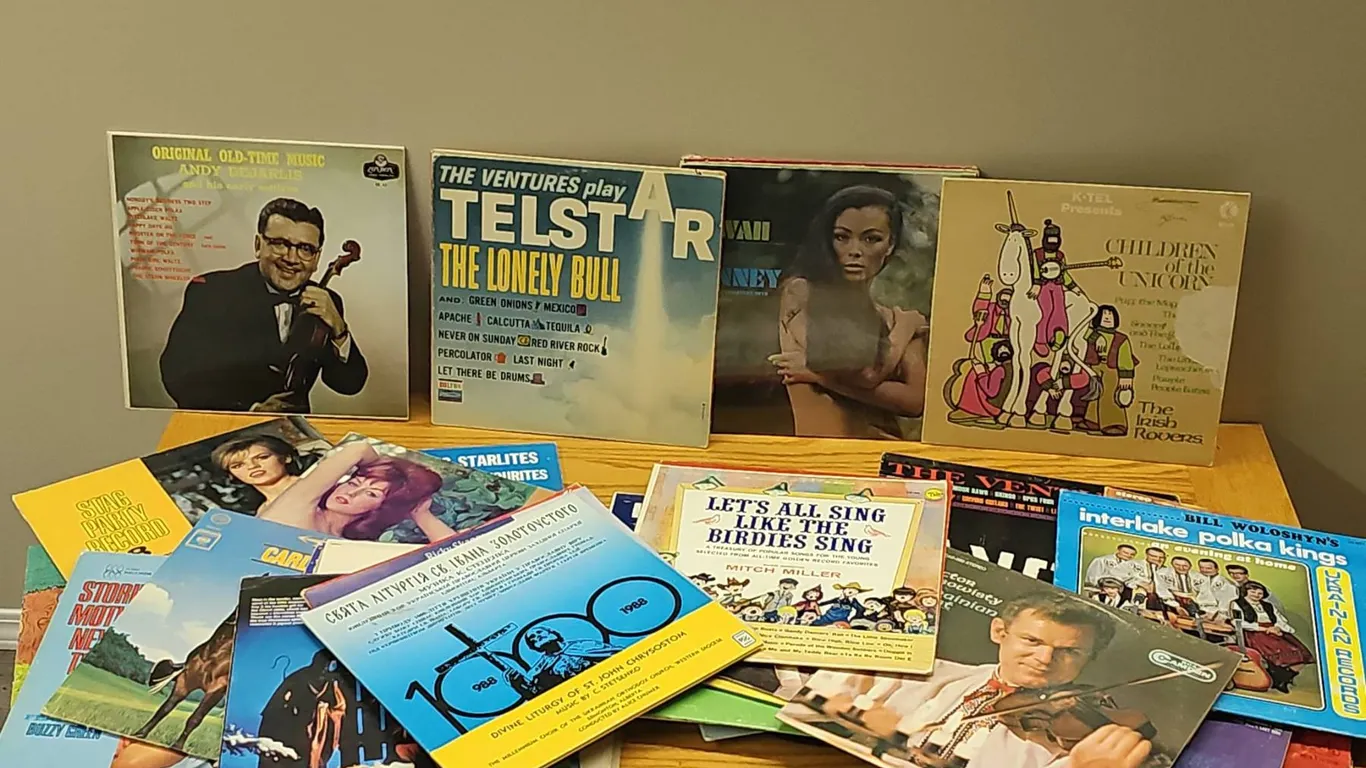 Vinyl Records Collection Including The Ventures and Mitch Miller