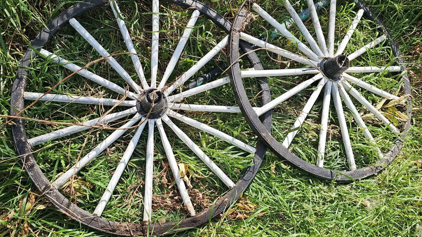 Wooden Wagon Wheels with 14 Spokes Each