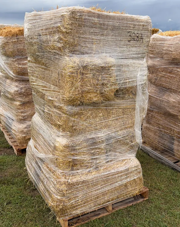 10 - Square Bales, Wheat / Straw *Unreserved*