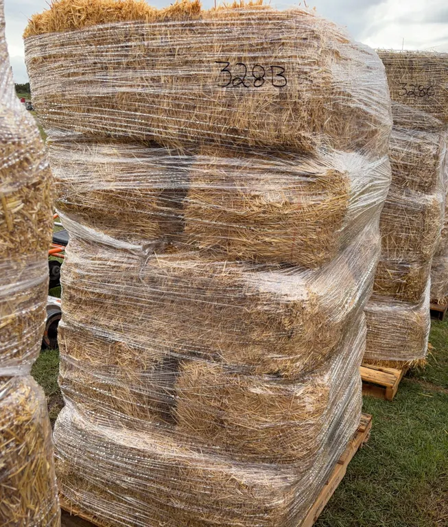 10 - Square Bales, Wheat / Straw *Unreserved*