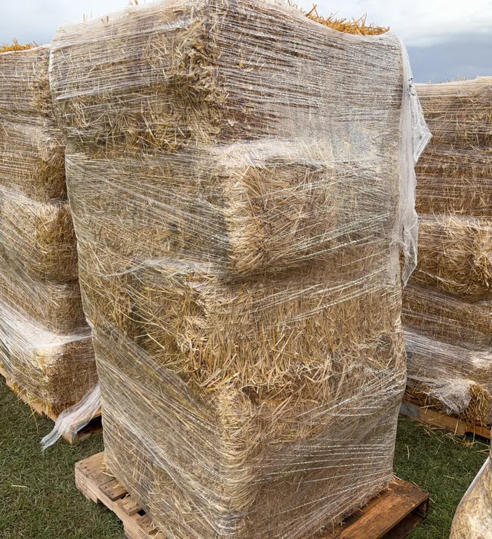 10 - Square Bales, Wheat / Straw *Unreserved*
