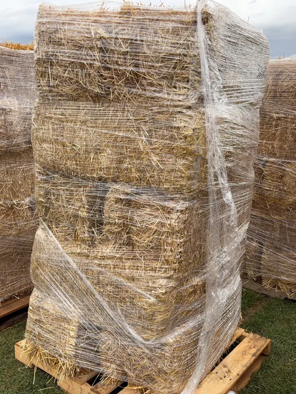 10 - Square Bales, Wheat / Straw *Unreserved*