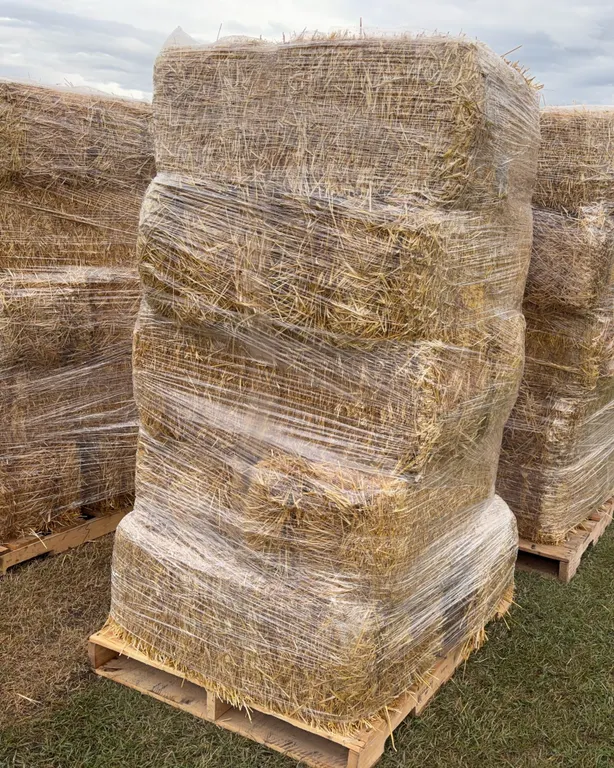 10 - Square Bales, Wheat / Straw *Unreserved*