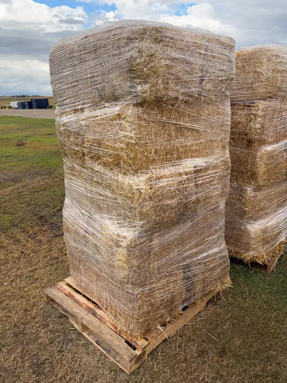 10 - Square Bales, Wheat / Straw *Unreserved*