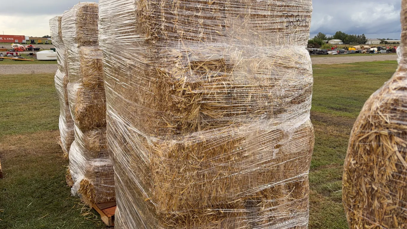 10 - Square Bales, Wheat / Straw *Unreserved*