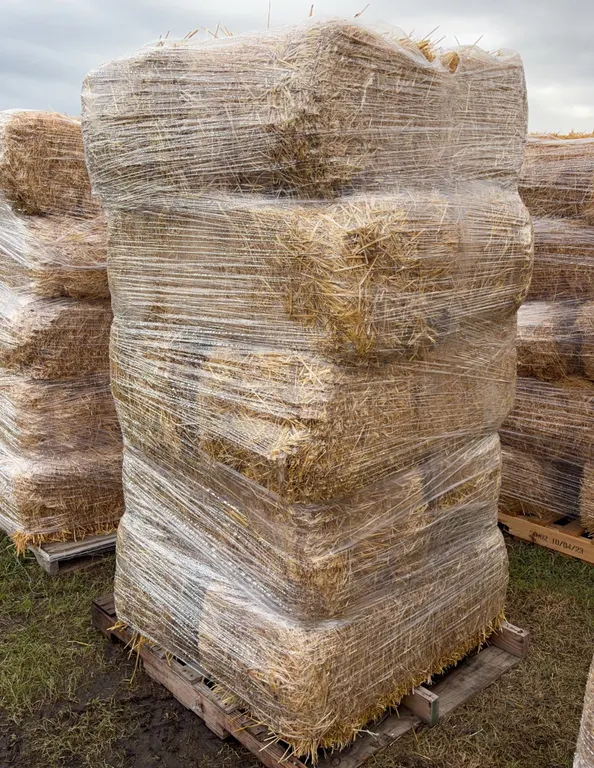 10 - Square Bales, Wheat / Straw *Unreserved*