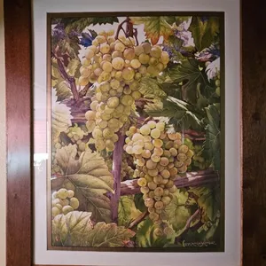 SUNLIGHT DELIGHT - ORIGINAL WATERCOLOR - 40 x 33; FRAMED