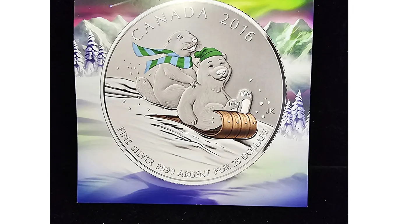 2016 CAD 7.96G .9999 FINE SILVER $20 WINTER FUN COIN