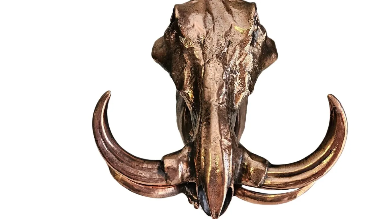 Bronze Dipped Warthog Skull with Four Tusks