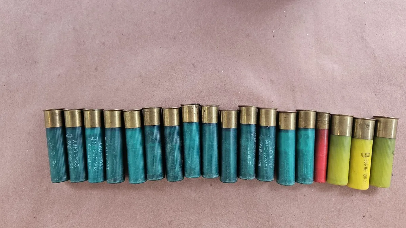 Remington 28 Ga, 20 Ga and .410 Shotshells, 18 Loose Rounds