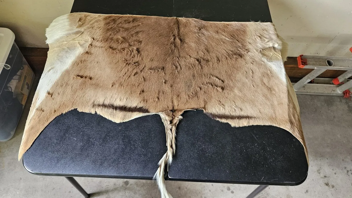 Tanned hair-on hide, tan and white, suede back