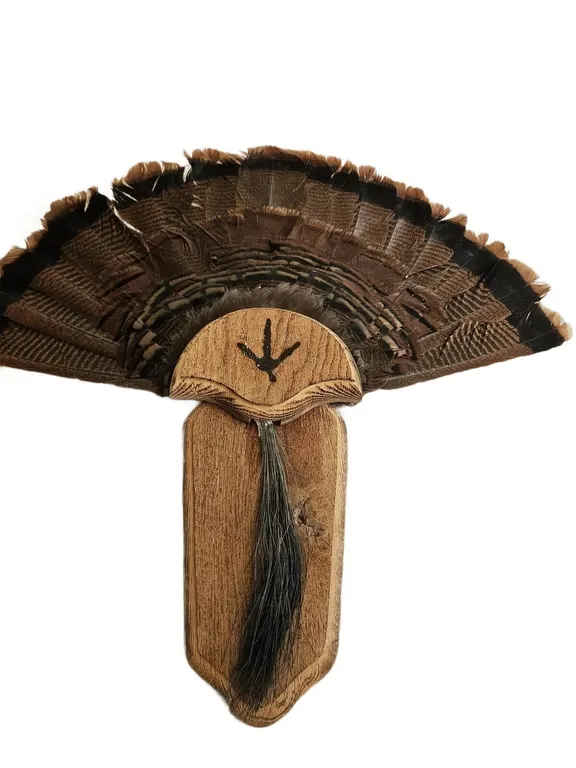 Wild Turkey Fan and Beard Mount on Oak Shield Plaque