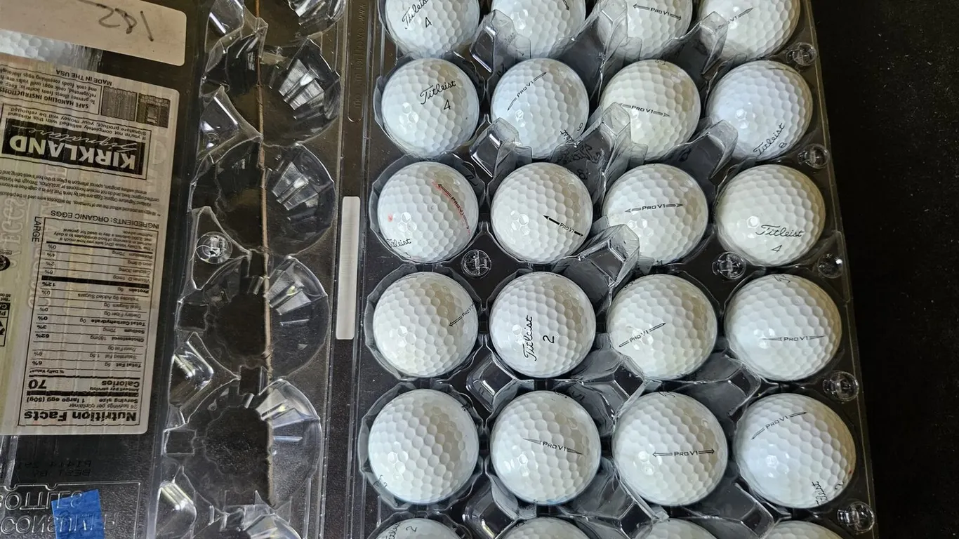 Titleist Pro V1 golf balls, 24 count, used