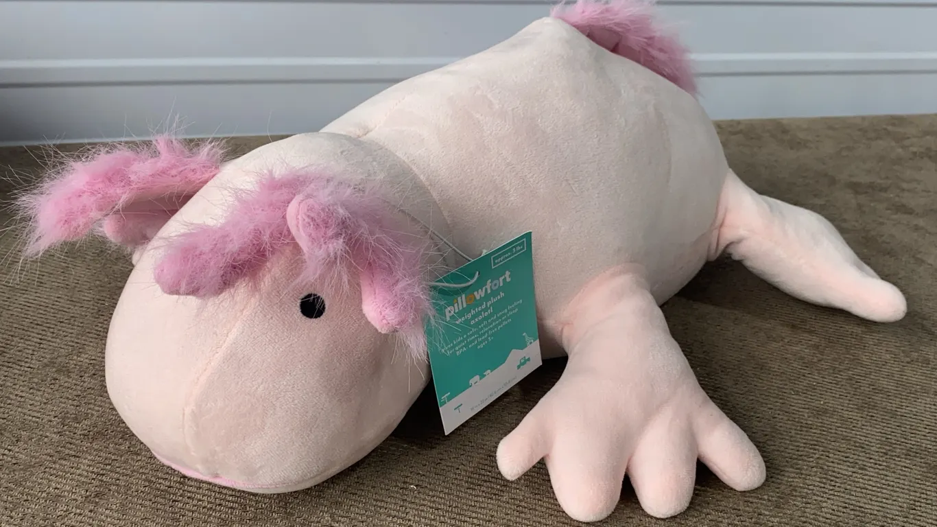 *NEW* Pillowfort Axolotl Weighted Plush Kids' Throw Pillow - Light Pink