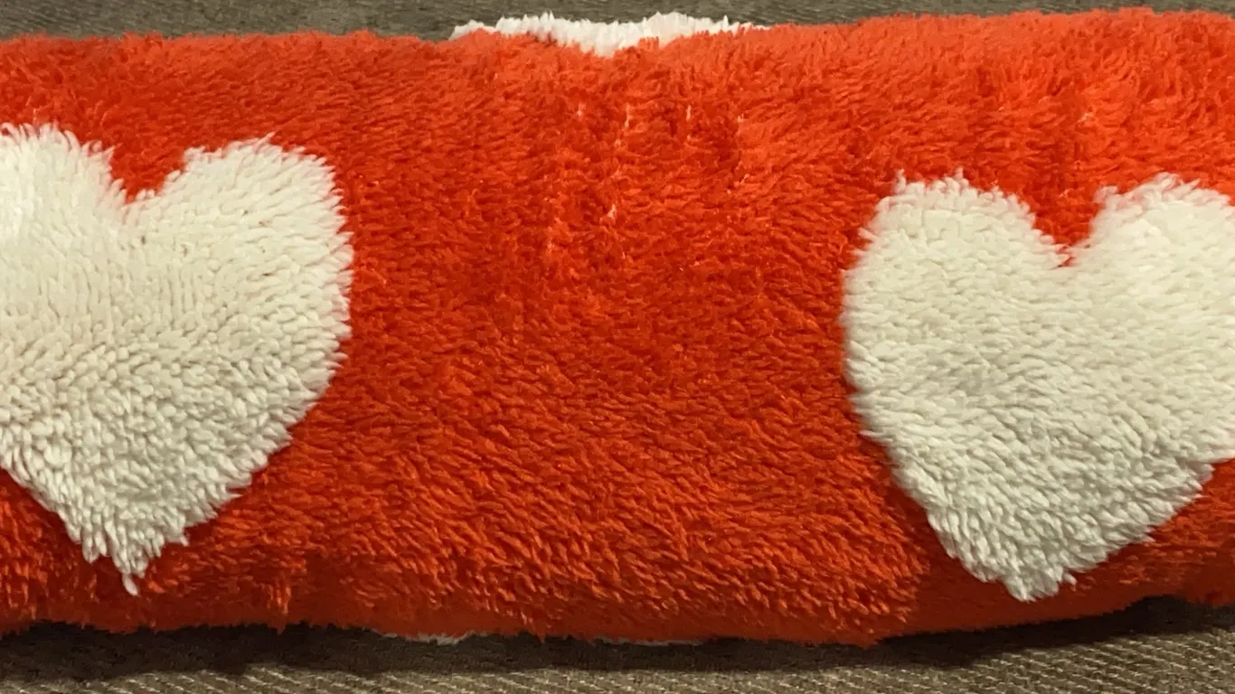 *NEW* Pillowfort Patisserie Heart Kids' Chenille Throw Blanket